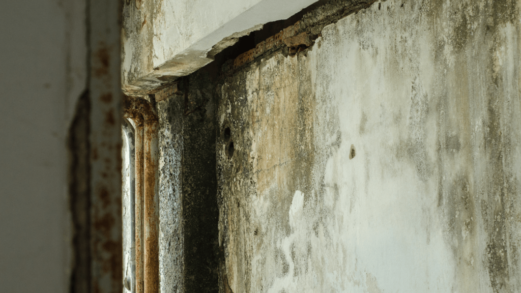 Corner wall of a mouldy, damp home. 